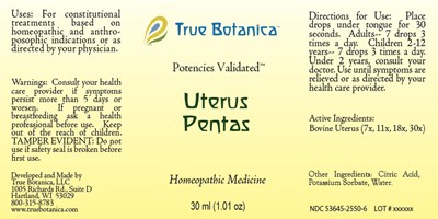 Uterus Pentas (Uterus Pentas Jpeg)